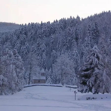 Appartement Neuf Et Confortable Avec Terrasse, Proche Lacs Et Skis A - Fr-1-589-218