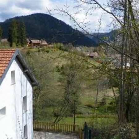 Appartement Neuf Et Confortable Avec Terrasse, Proche Lacs Et Skis A - Fr-1-589-218 Xonrupt-Longemer